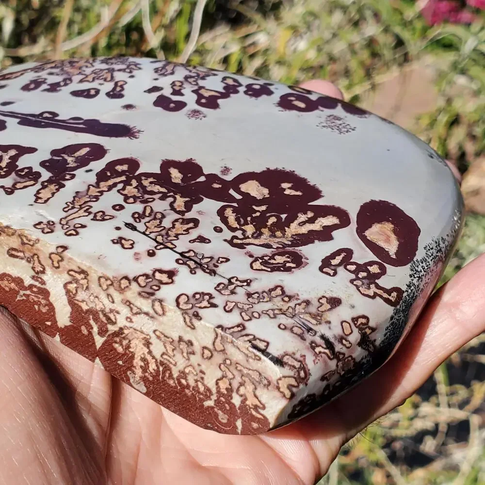 Picture Stone Jasper Dendritic Dendrite Display Freeform 706 Gram
